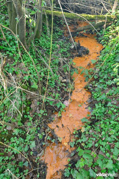 Natuurreservaat Broekelzen
