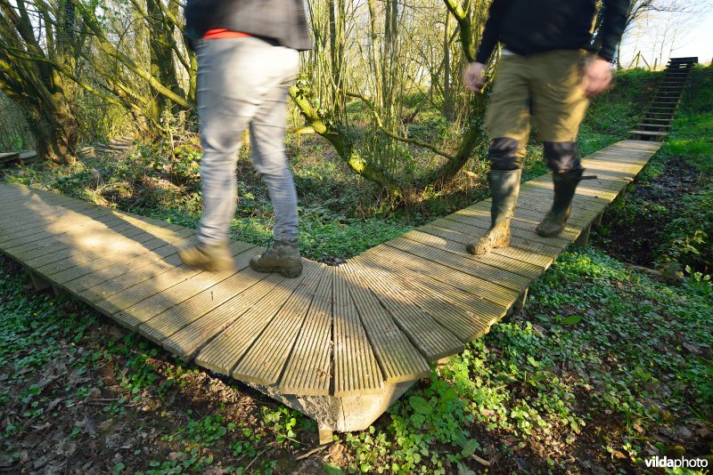 Natuurreservaat Broekelzen