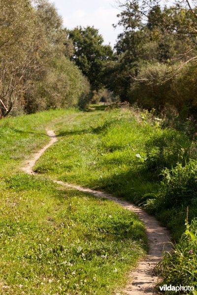 Kronkelend wandelpad