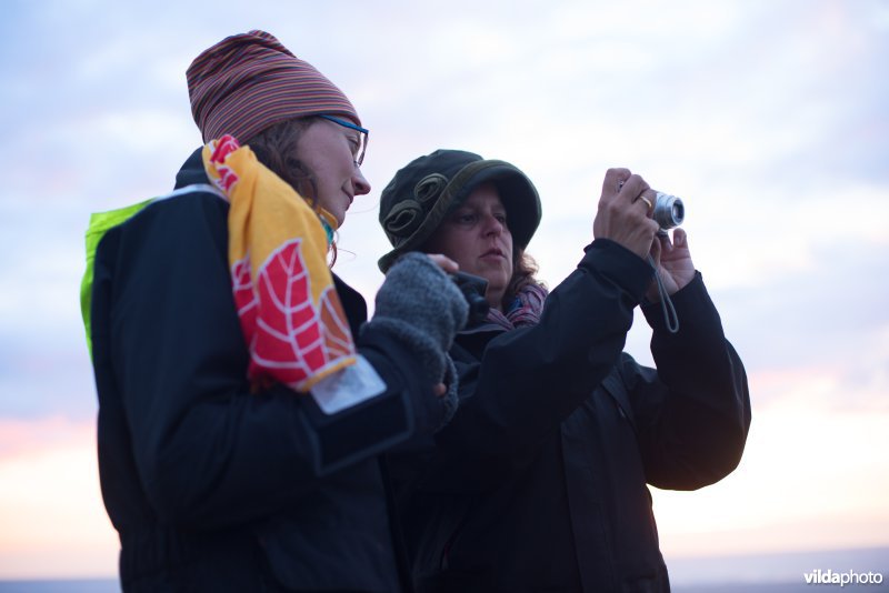 Vogels kijken op duintop