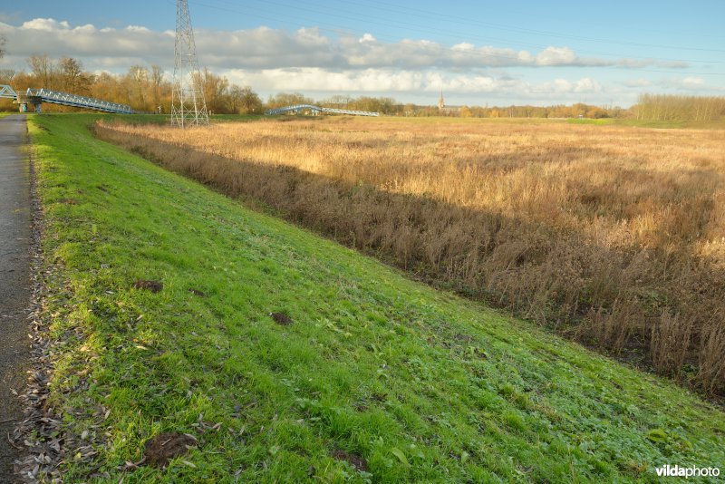 Grote Vijver (Noord Deel 1)