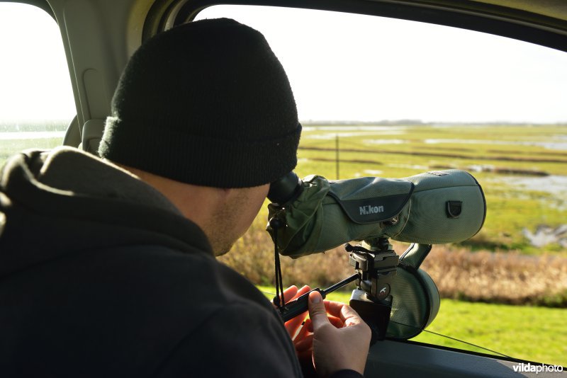 Vogels tellen in de Doelpolder