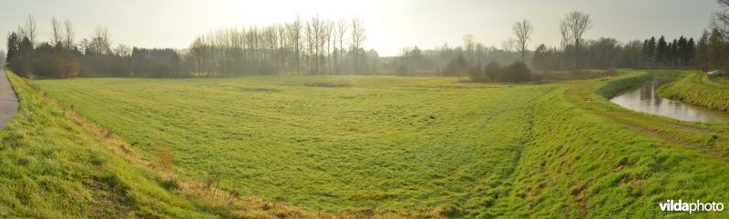 Vallei van de Grote Nete: Zammels Broek