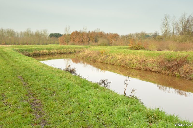 Vallei van de Grote Nete