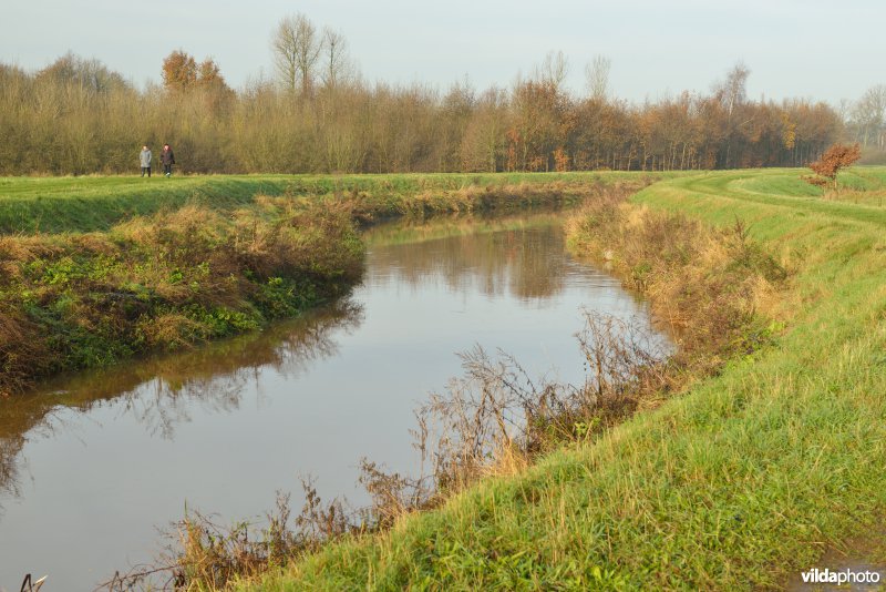 Vallei van de Grote Nete