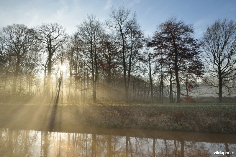 Vallei van de Grote Nete