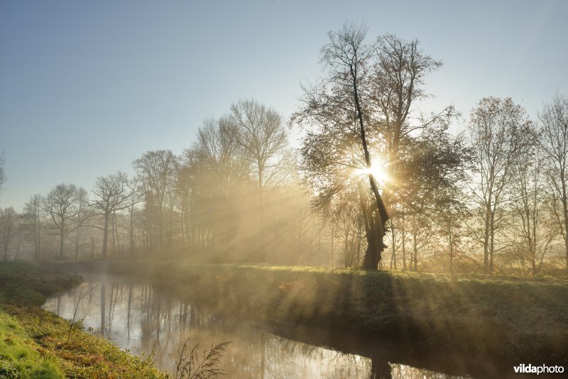 Vallei van de Grote Nete