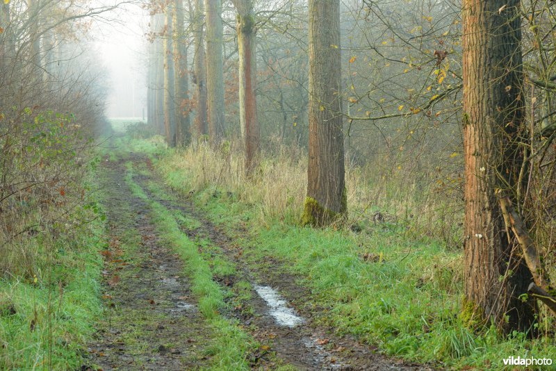 Vallei van de Grote Nete