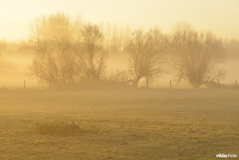 Vallei van de Grote Nete