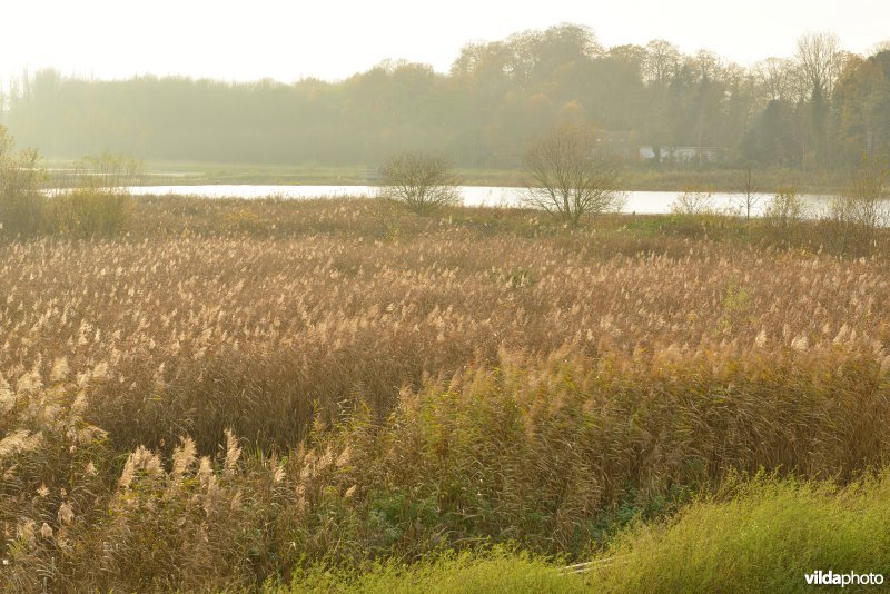 Schiphoekpolder