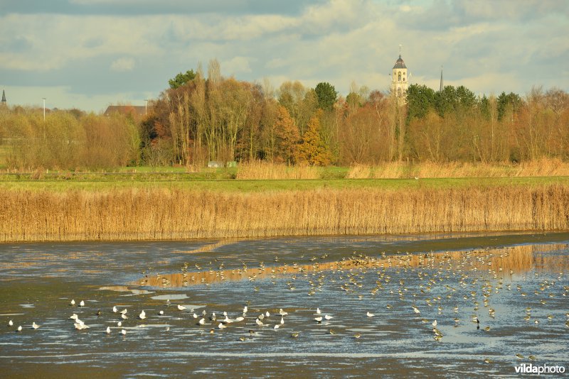 Lier-Anderstadt