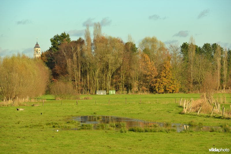 Polder van Lier