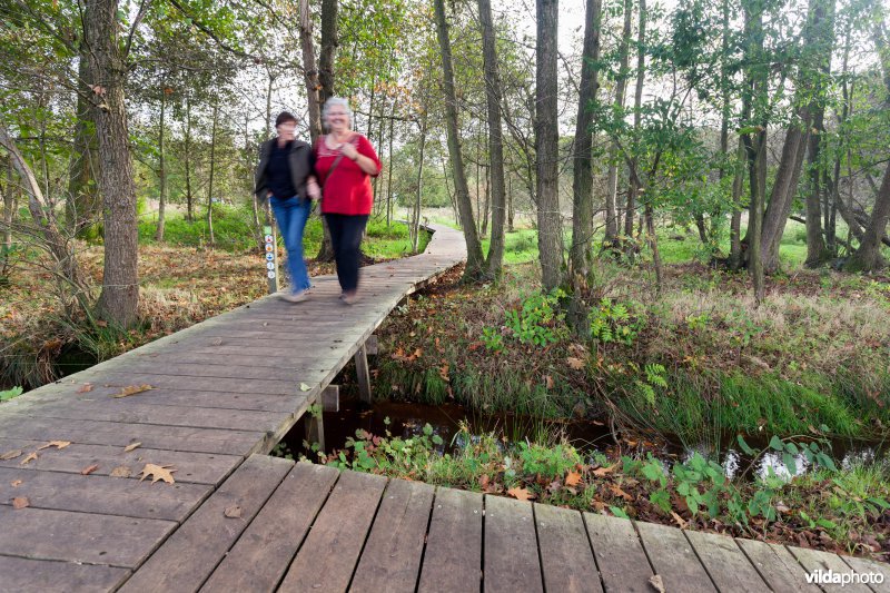Wandelaars op een plankenpad