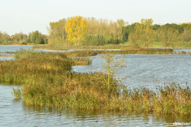 Overstroomde Paardeweide