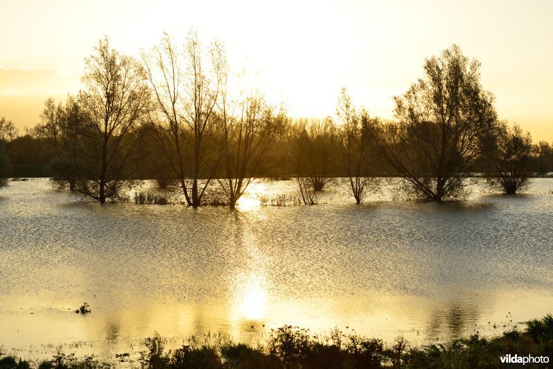 Overstroomde Paardeweide