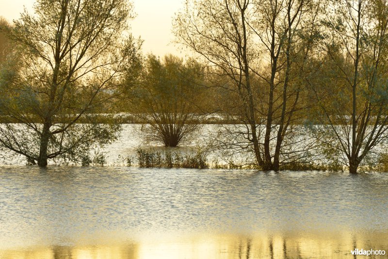 Overstroomde Paardeweide