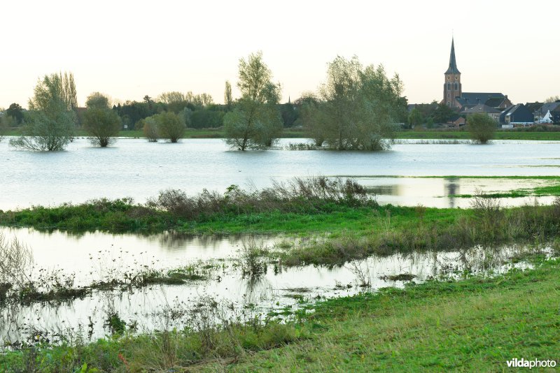 Overstroomde Paardeweide