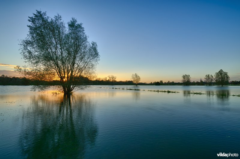 Overstroomde Paardeweide