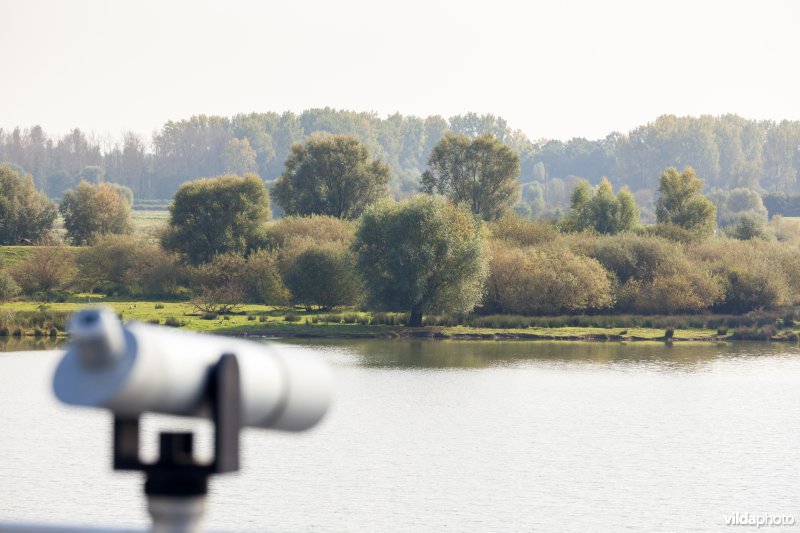 Vogels kijken vanop het dak van het Vloot