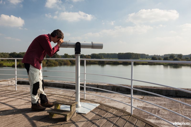 Vogels kijken vanop het dak van het Vloot