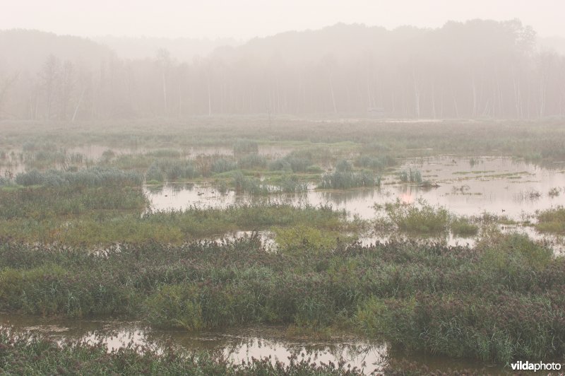 Provinciaal domein Het Vinne