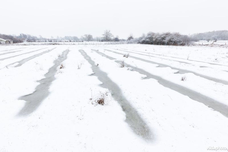 Ondergesneeuwd reliëfrijk grasland