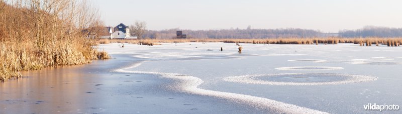 Patronen in sneeuw en ijs op het Vinne