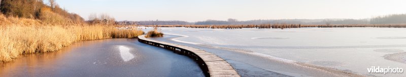 Kronkelend plankenpad