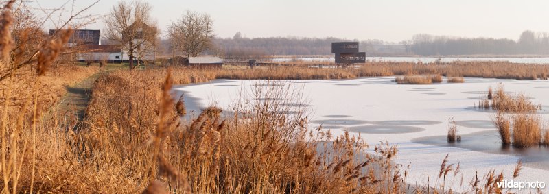 Zicht op het bevroren Vinne