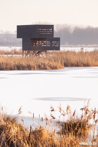 Vogelkijkhut aan bevroren meer