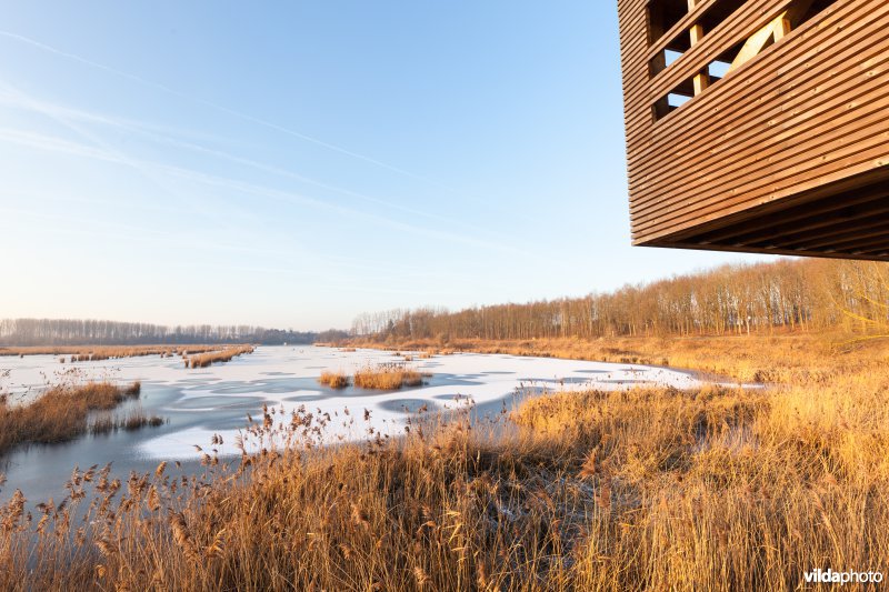 Bevroren Vinne vanuit de kijktoren