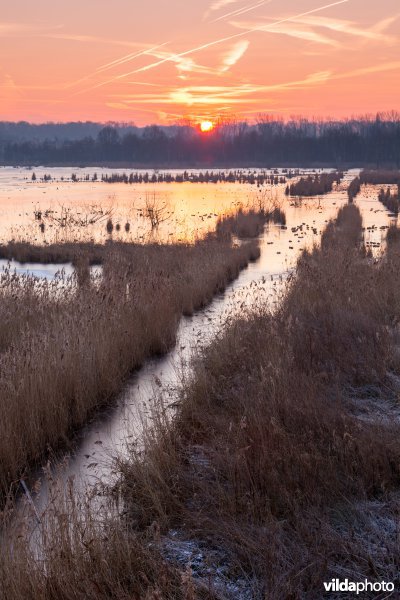 Winterse zonsopgang boven het Vinne