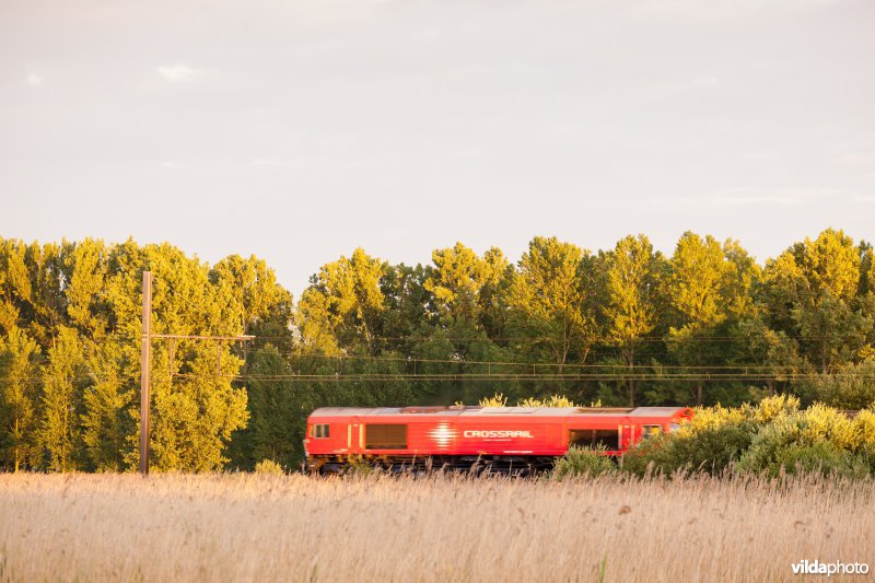 Treinspoor door een natuurgebied