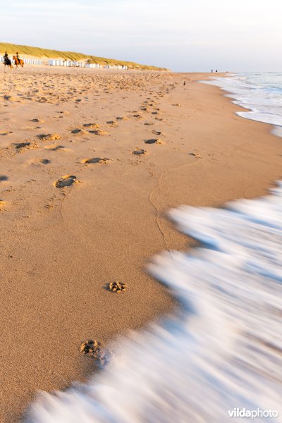 Sporen op het strand