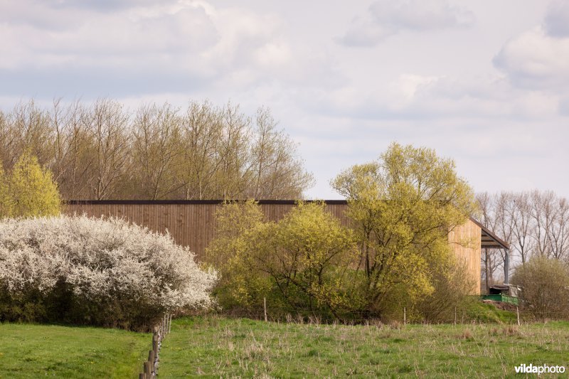 De nieuwe stal van Natuurpunt