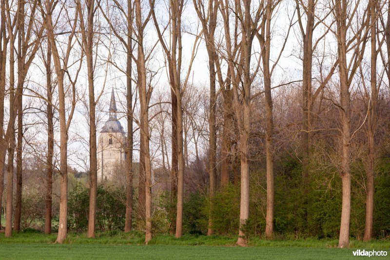 Kerk van Rijmenam