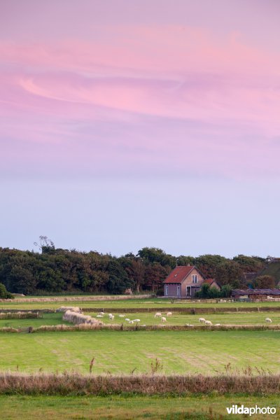 Tuunwallen na zonsondergang