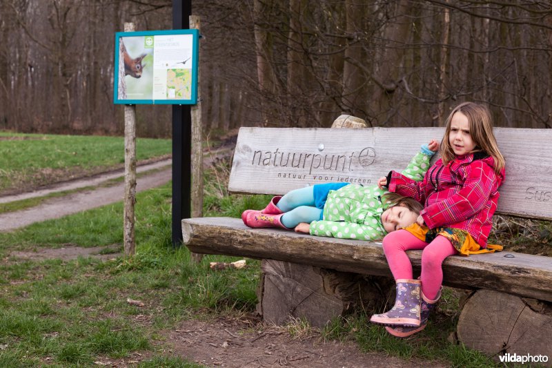 Rusten op een bankje