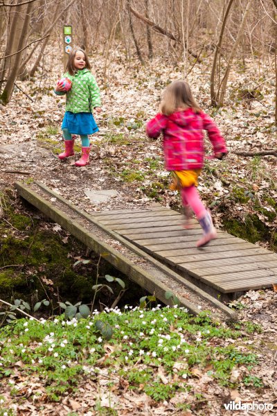 Over een bruggetje lopen