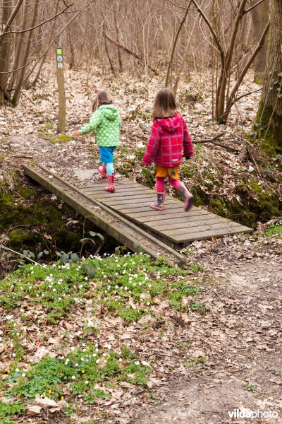 Over een bruggetje lopen