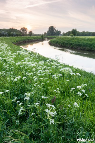 Dijledijk