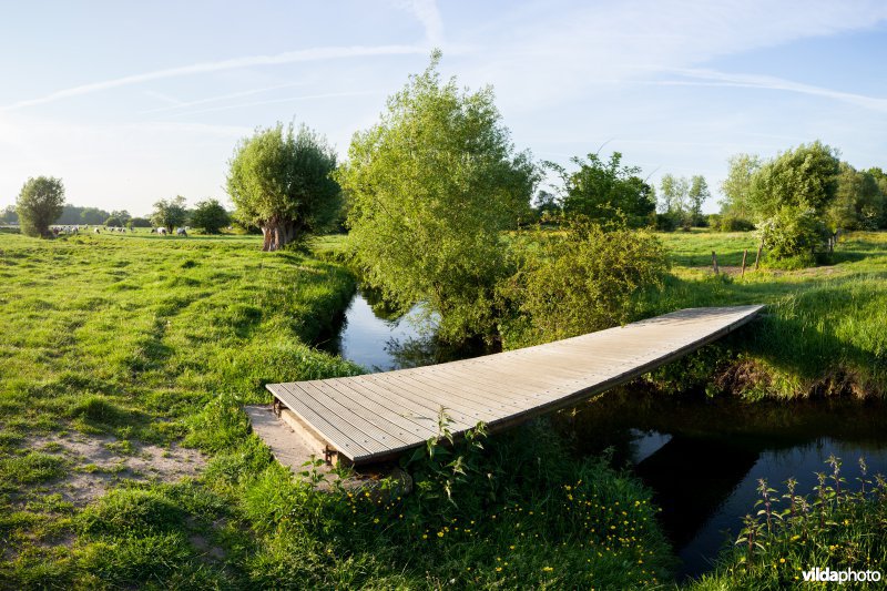 Brugje over de Weesbeek