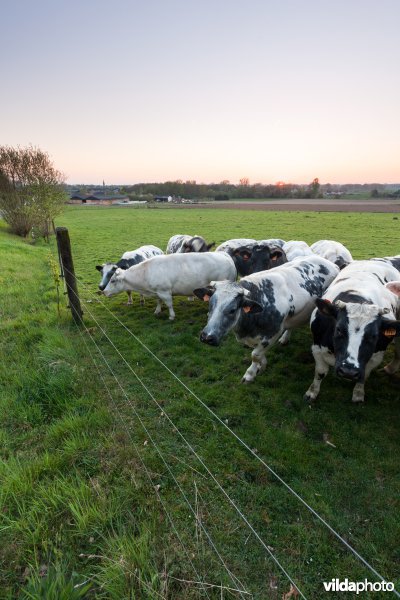 Zonsondergang boven de Getevallei