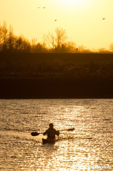 Kanovaren op de IJssel