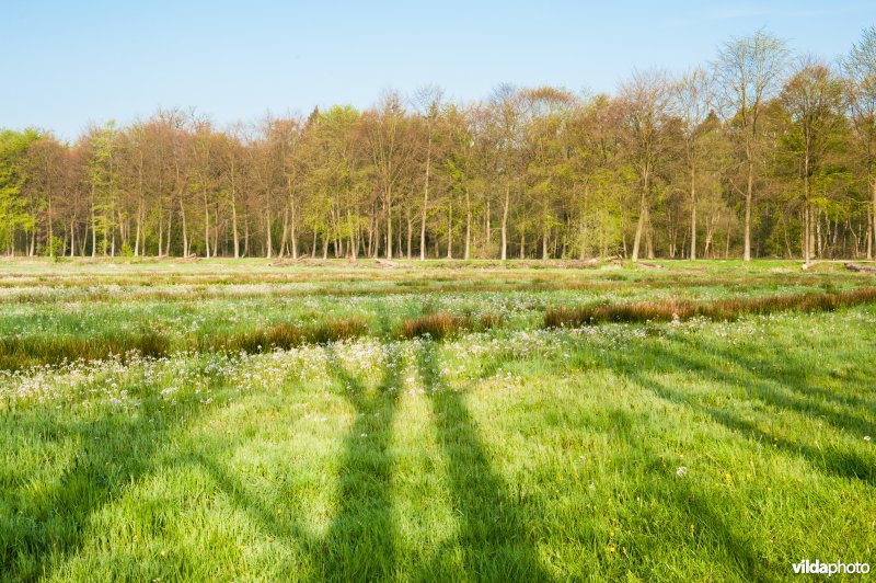 Landgoed Middachten