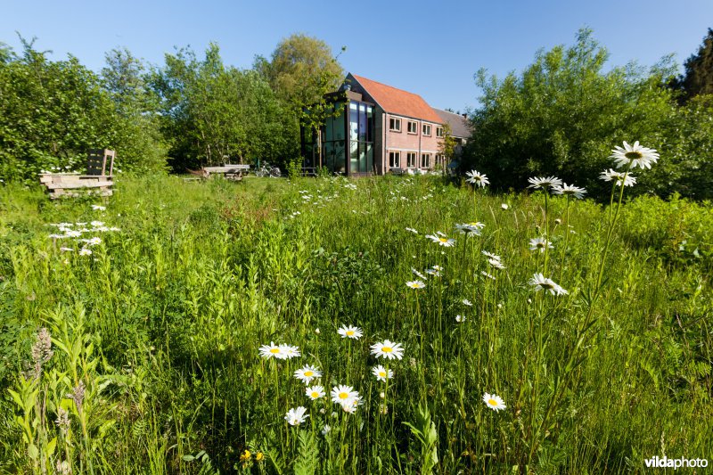 Bezoekerscentrum Grote Netewoud