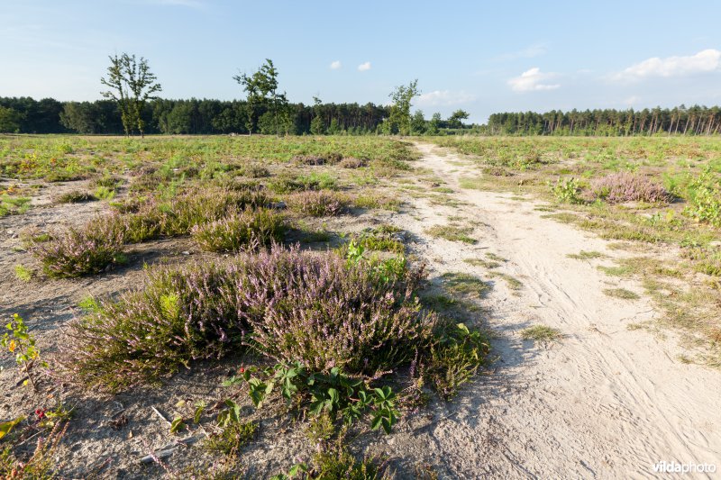 Kronkelend wandelpad