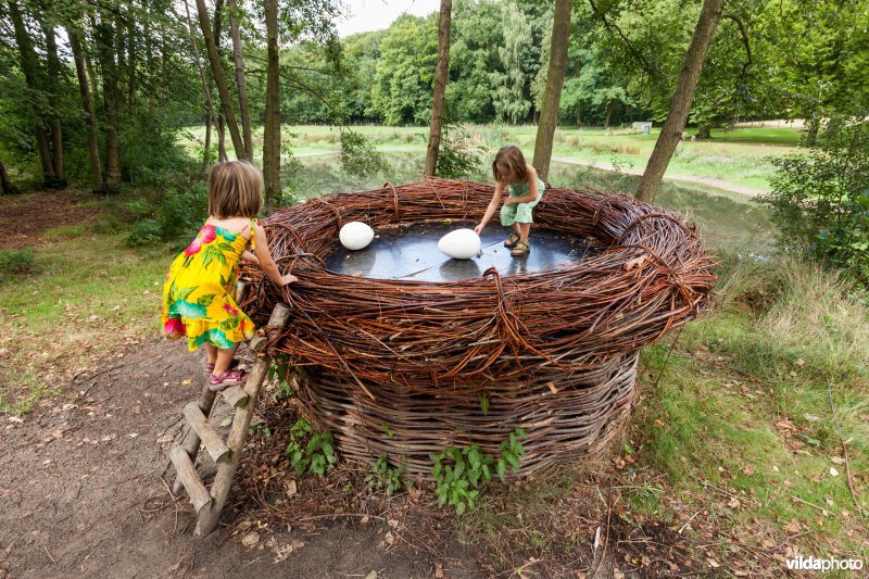 Reuzennest