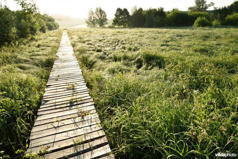 Natuurreservaat Jansveld langs de Zwalm