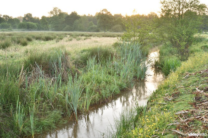 Natuurreservaat De Vennen